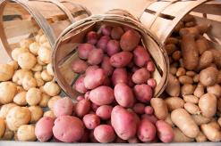 Варени пржени компири Мали пржени компири во нивните јакни