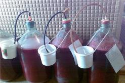 रूबर्ब वाइन: एक फ्लास्क में स्पार्कलिंग ब्रू